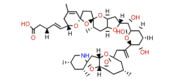 22-Desmethyl-23-hydroxy-8-methyl-azaspiracid